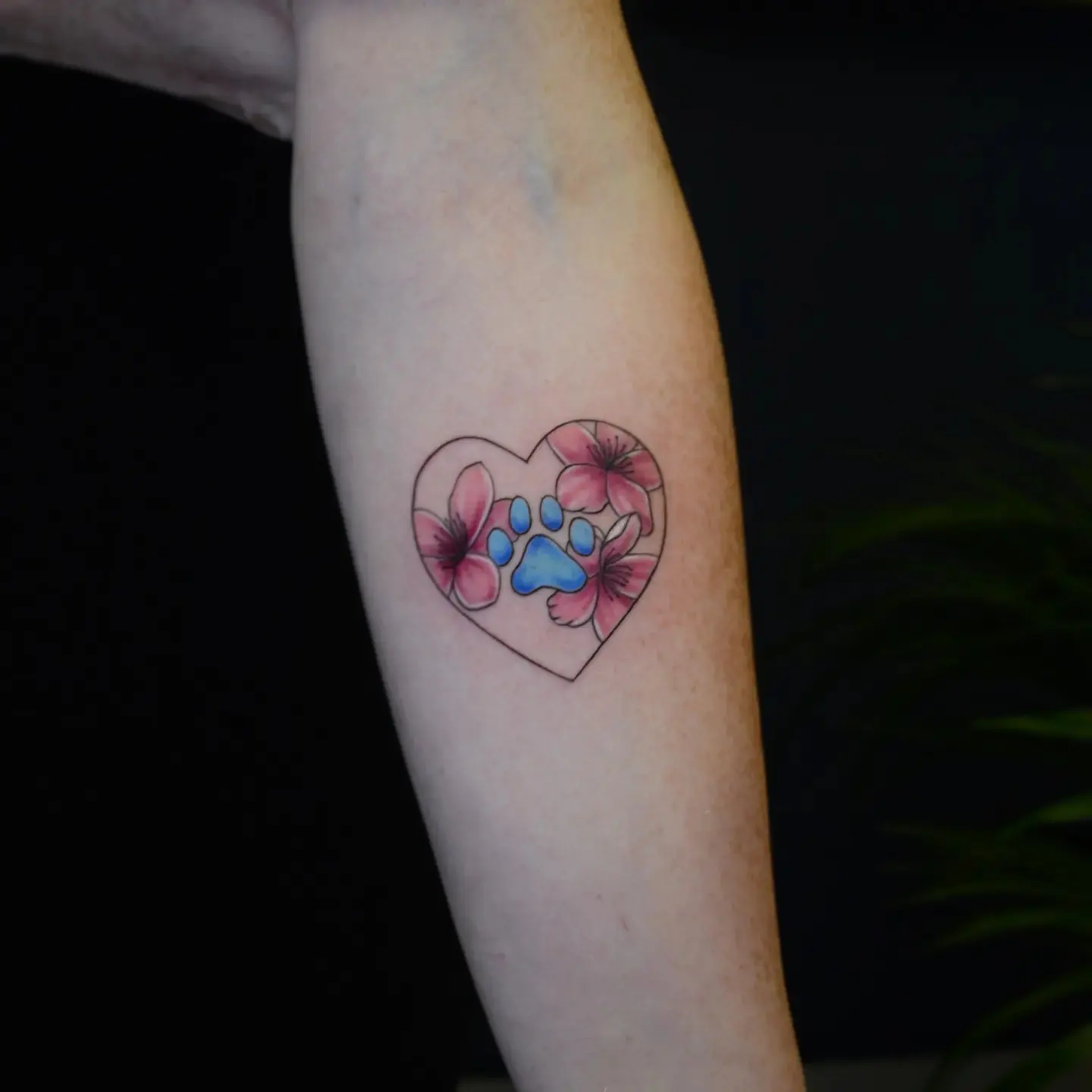 galerie tatuaje top notch tattoo roman - tatuaj color
